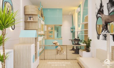Thiết kế pet shop nhỏ xinh, màu sắc nổi bật – Shin Shop