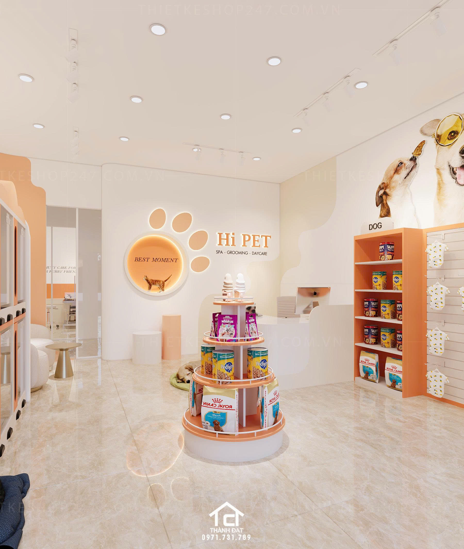 thiết kế pet shop đẹp ấn tượng