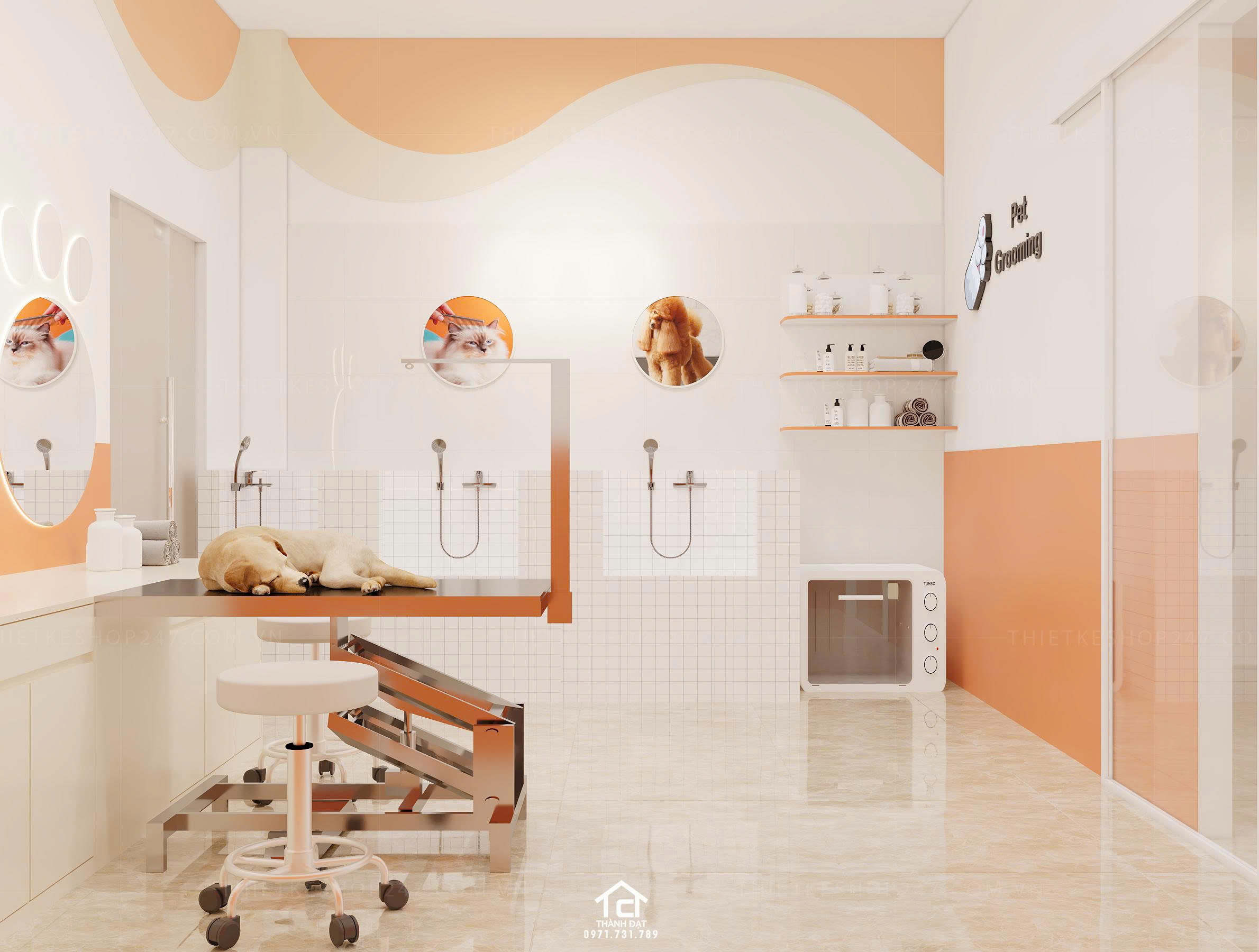 thiết kế pet shop đẹp cuốn hút