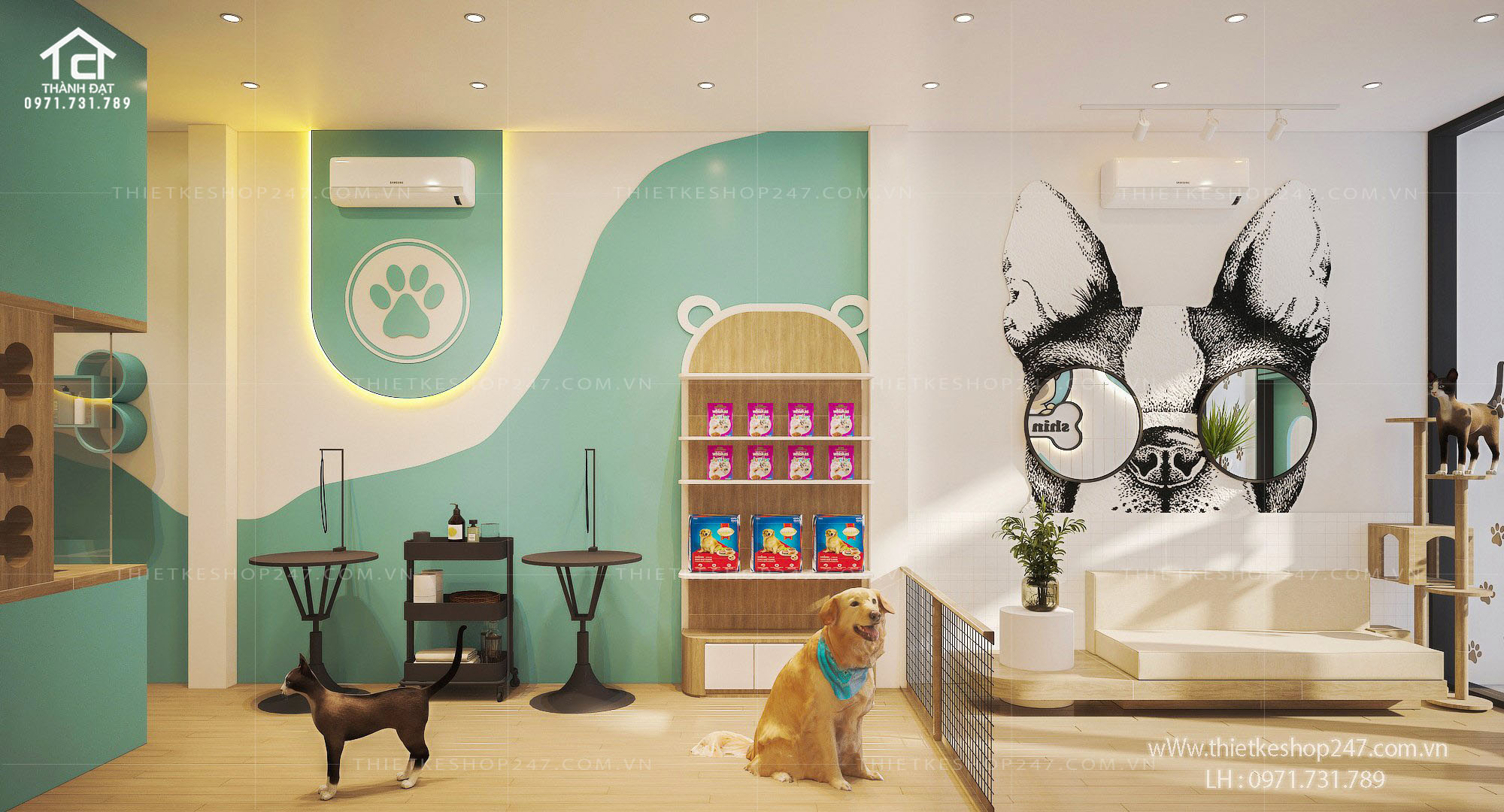 thiết kế pet shop đẹp hiện đại