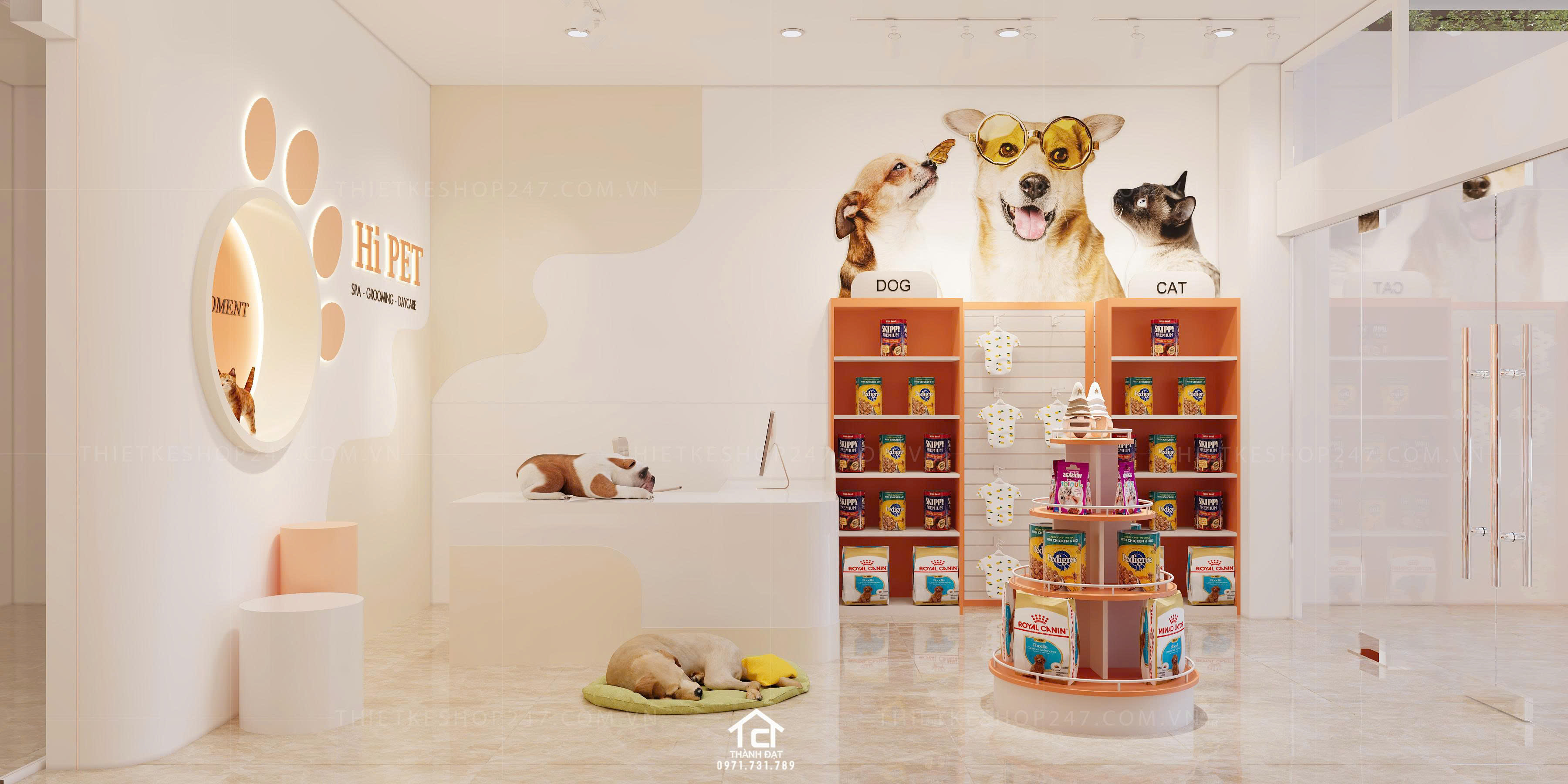 thiết kế pet shop đẹp màu sắc