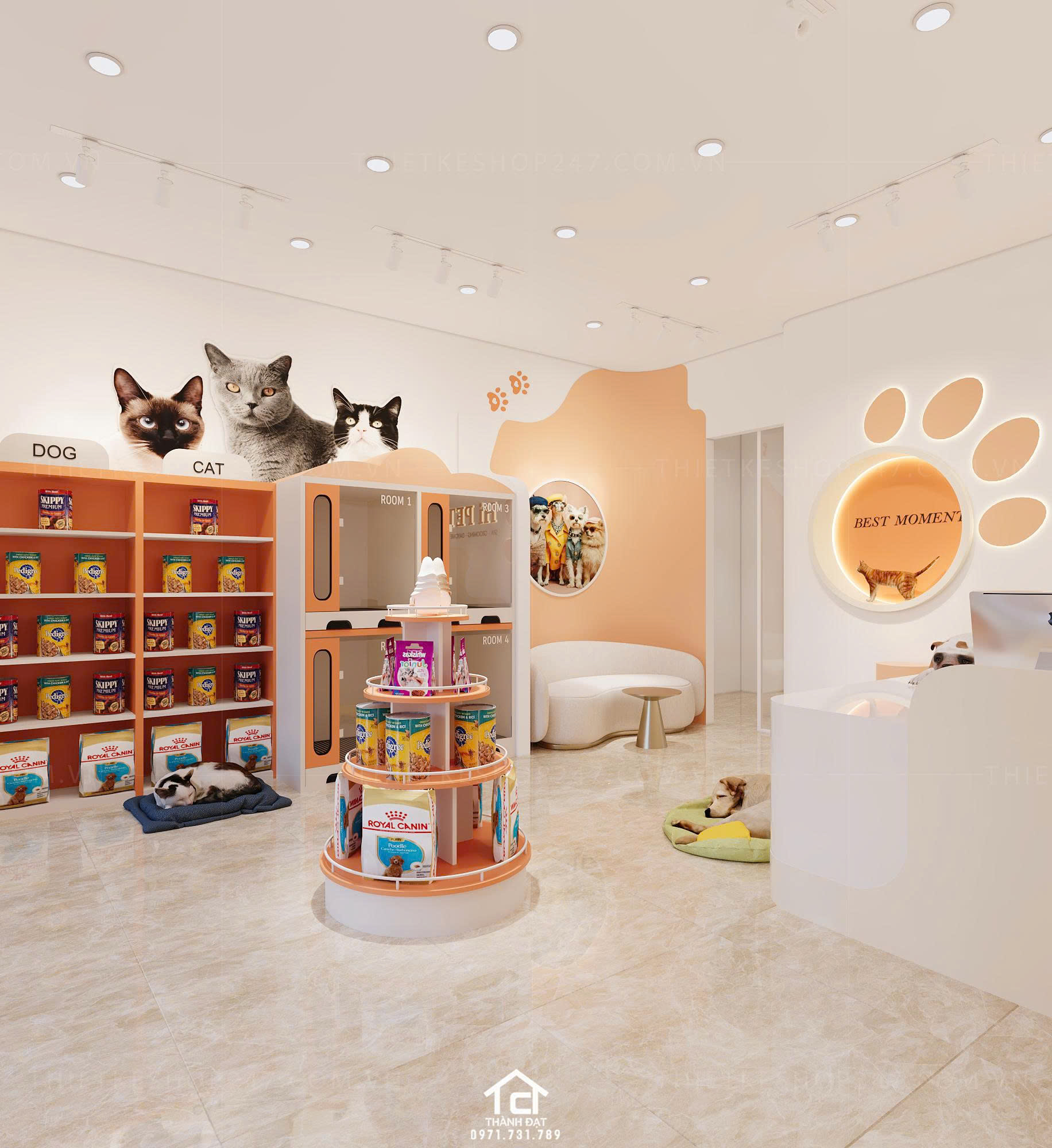 thiết kế pet shop đẹp rộng lớn