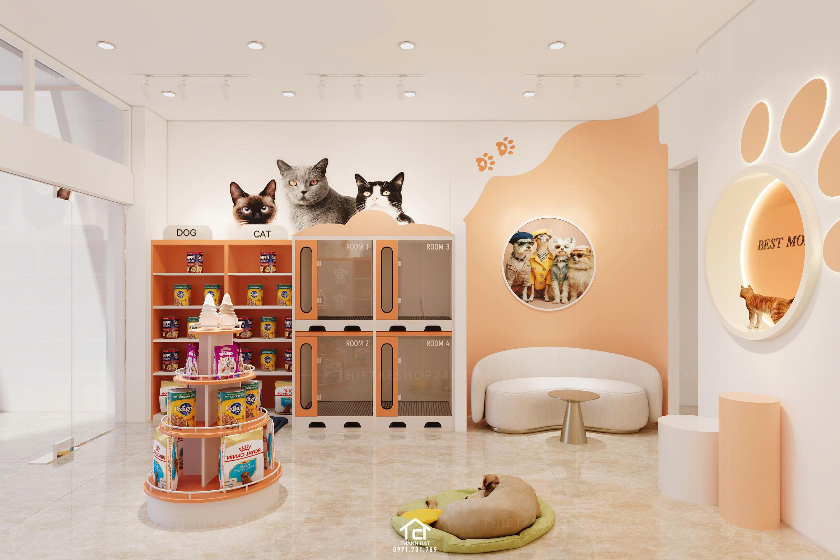 thiết kế pet shop đẹp sang chảnh