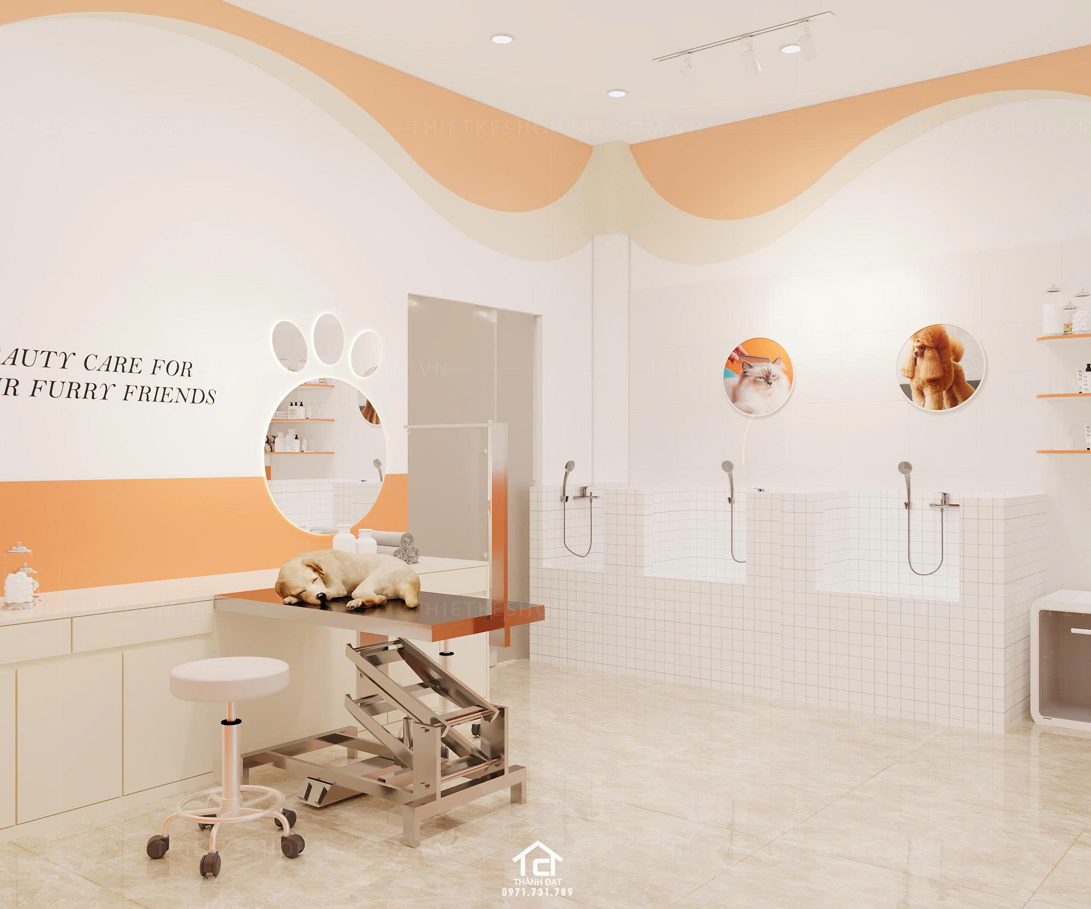 thiết kế pet shop đẹp sinh động
