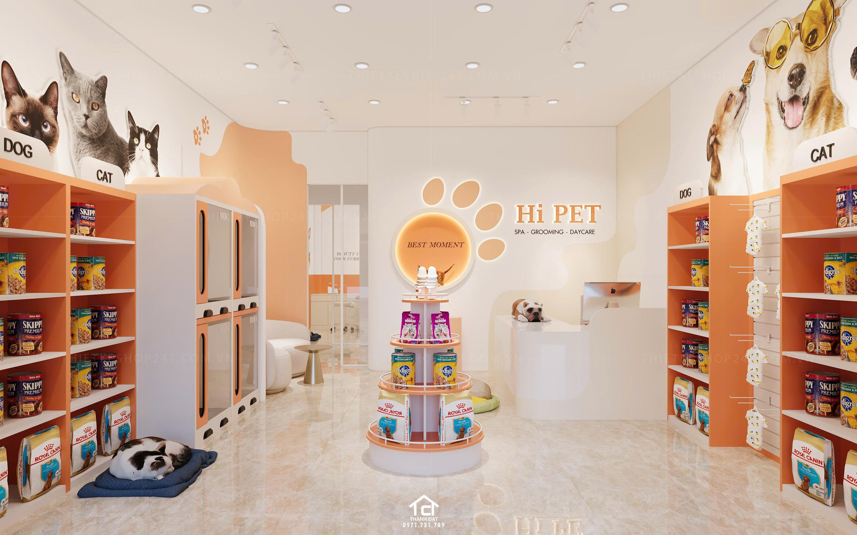 thiết kế pet shop đẹp